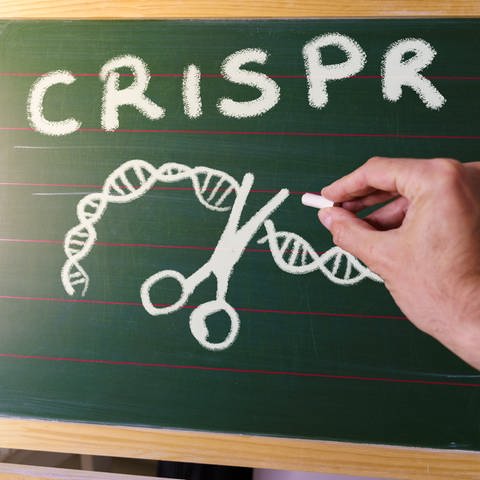 Zeichnung der CRISPR-Technik an einer Tafel (Foto: IMAGO, IMAGO / Pond5 Images)