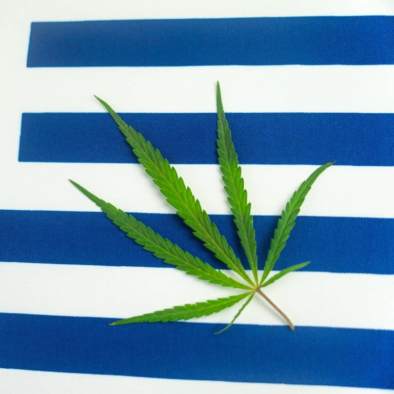 Ein Hanfblatt auf dem Hintergrund der uruguayischen Flagge. (Foto: IMAGO, IMAGO / Pond5 Images)