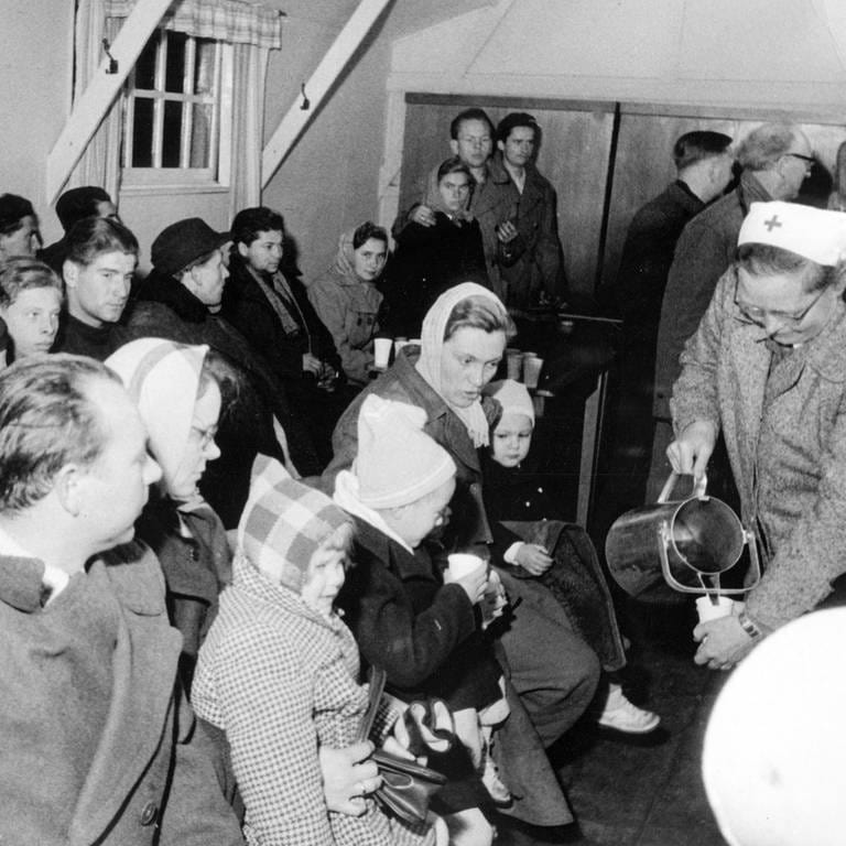 Neu angekommene Flüchtlinge im Lager Friedland am 23. November 1956. Rund 200.000 Menschen sind nach dem Ungarnaufstand in den Westen geflohen. (Foto: picture-alliance / Reportdienste, picture alliance / Karlheinz Plikat | Karlheinz Plikat)