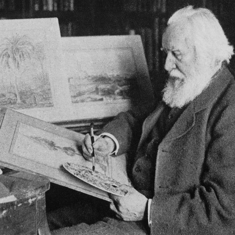 Naturphilosoph Ernst Haeckel 1914 in seinem Arbeitszimmer in Jena (Foto: picture-alliance / Reportdienste, picture alliance / akg-images | akg-images)