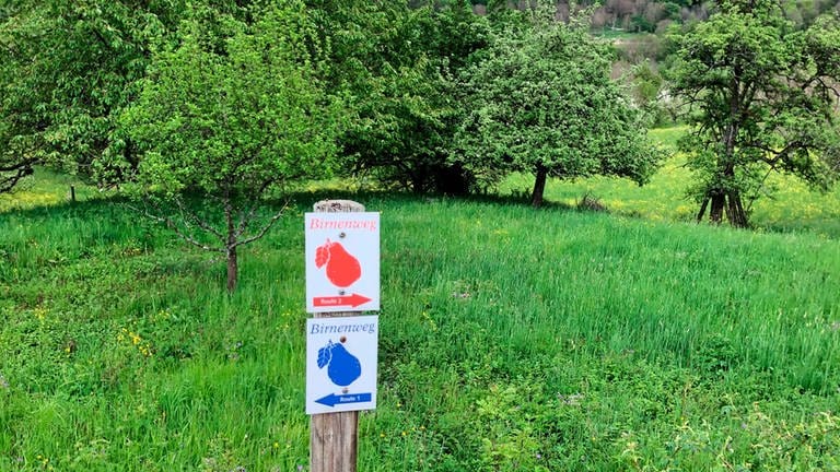 Der Birnenerlebnisweg ist gut ausgeschildert. Loslaufen kann man vom Glemser Stausee oder vom Obstbaummuseum in Glems. Zwei unterschiedlich lange Rundwege sind ausgewiesen. (Foto: SWR, Friederike Dauser)