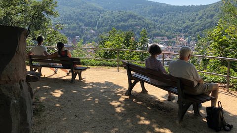 Wandern in BW: Bänke und Mäuerchen laden auf dem Philosophenweg in Heidelberg zum Verweilen ein.