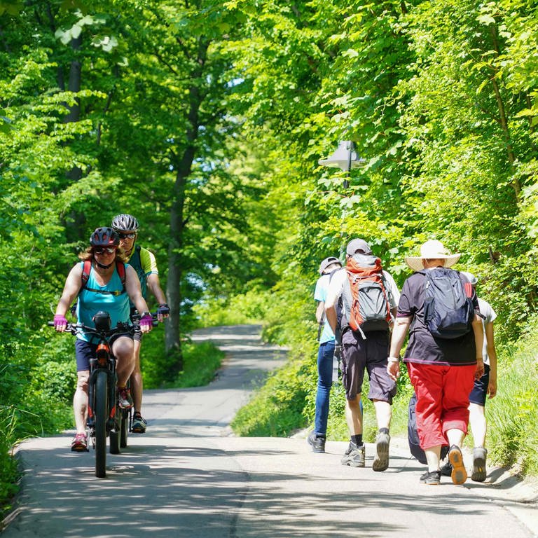 Wanderer und Radfahrer bei der Burg Rechberg  (Foto: picture-alliance / Reportdienste, Picture Alliance)