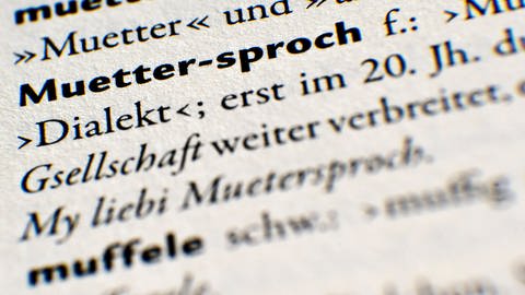 In einem alemannischen Wörterbuch ist das Wort "Muettersproch", also "Muttersprache" aufgeschlagen.  (Foto: picture-alliance / Reportdienste, picture alliance / dpa | Tobias Kleinschmidt)