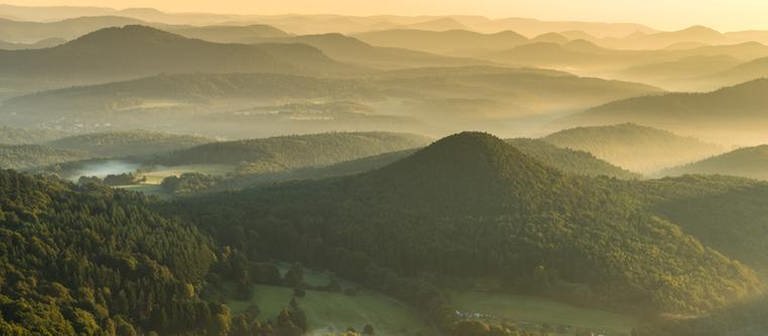 Ausblick von der Wegelnburg in der Pfalz (Foto: SWR, Rheinland-Pfalz Tourismus GmbH - Dominik Ketz)