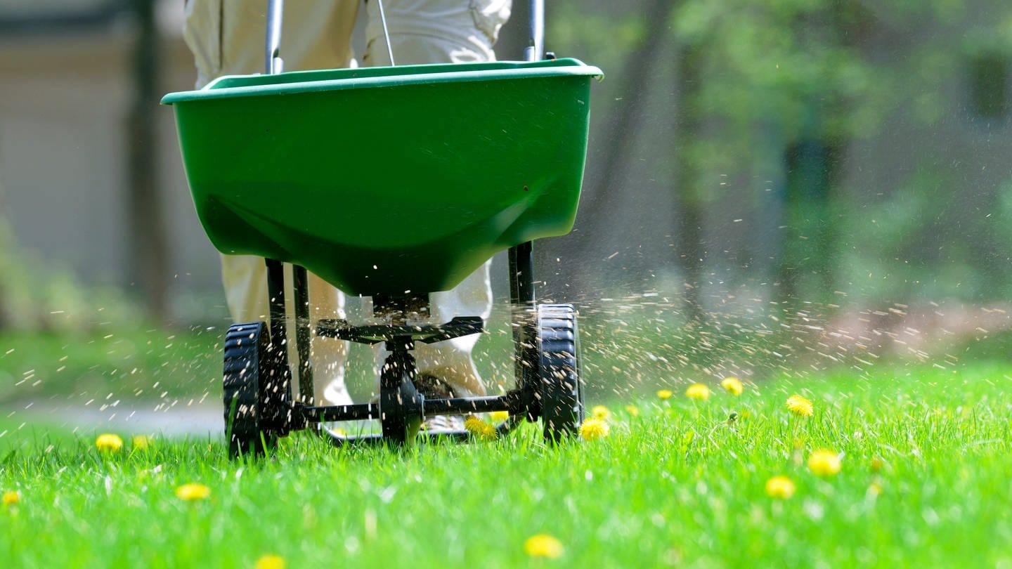 Gartenarbeit im Frühling (Foto: Getty Images, Foto: groveb)