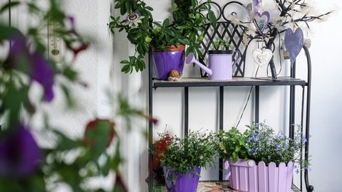 Ein schön dekorierter Balkon, der nach der Farbe lila abgestimmt ist.