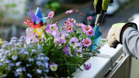 Bunte Blumen lassen einen Balkon erst so richtig leuchten.