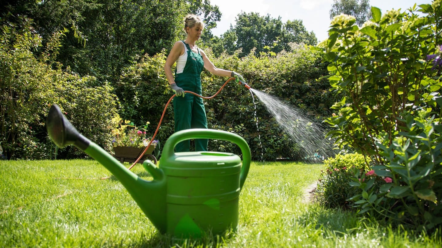 Eine Frau gießt ihren Rasen, damit er perfekt wachsen kann.