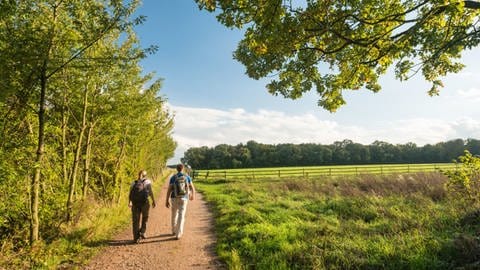 Rundwanderweg Hiwweltour Aulheimer Tal in Rheinhessen: Zwei Wandernde laufen einen Weg entlang