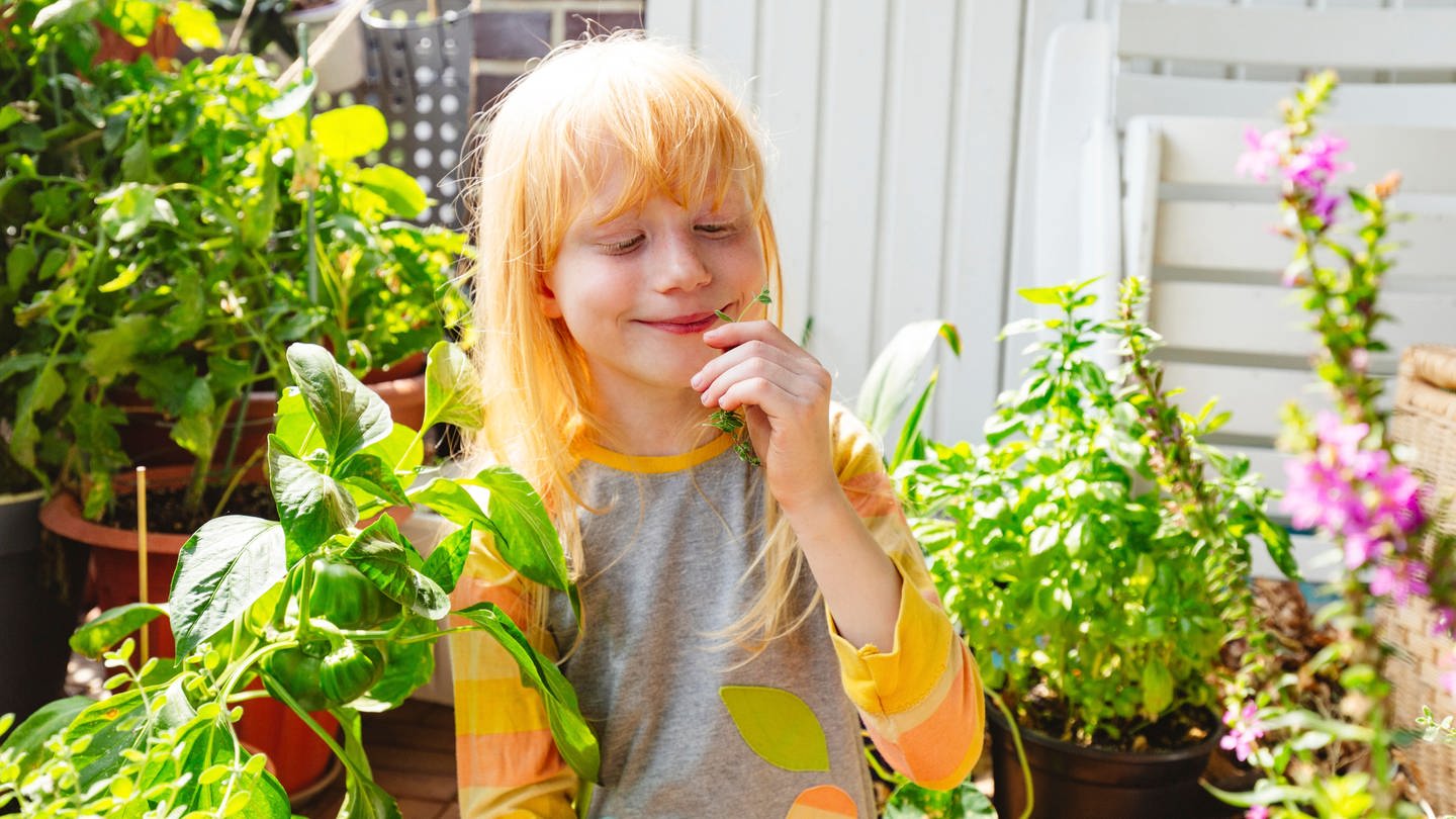 Ein grinsendes Mädchen freut sich auf die Ernte auf dem Balkon. (Foto: picture-alliance / Reportdienste, picture alliance / Westend61 | Irina Heß)