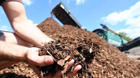 Zum Mulchen kann auch Rindenmulch im Garten verwendet werden. (Foto: picture-alliance / Reportdienste, Picture Alliance)