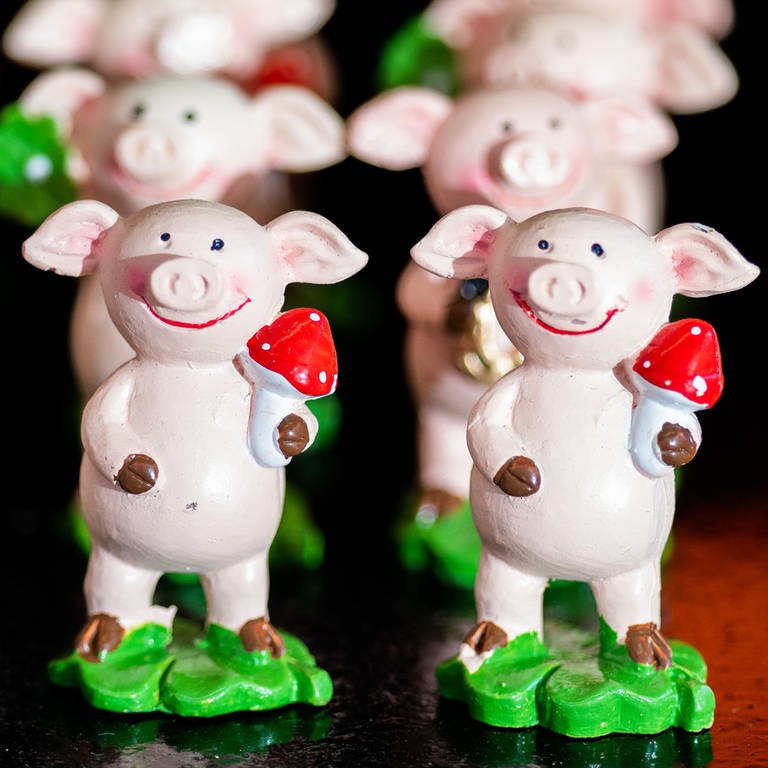 Glücksschweine sind beliebte Glücksbringer für das neue Jahr.