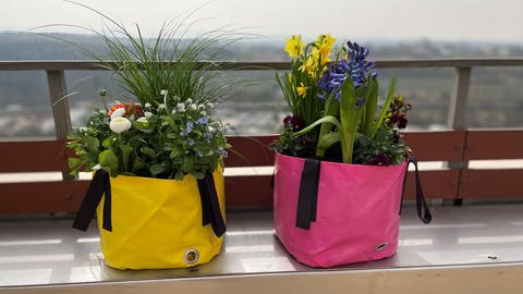 Pflanzsäcke sind praktisch und ein Hingucker – und sie sind zum Pflanzen von Blumen auf Balkon und Terrasse eine Alternative zu Topf und Kasten.