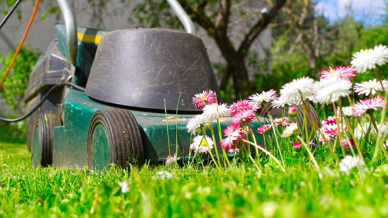 Mähfreier Mai: Ein Elektro-Rasenmäher vor einer kleinen Blumeninsel im Garten