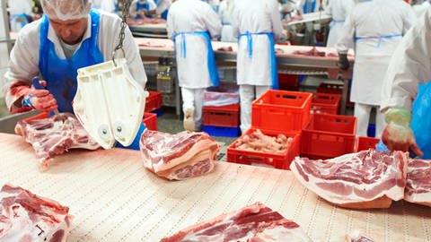 Mitarbeiter des Fleischunternehmens Tönnies arbeiten an einem Fliesband. Arbeitsminister Hubertus Heil will Werkverträge in Schlachthöfen und fleischverarbeitenden Betrieben verbieten. (Foto: dpa Bildfunk, (c) dpa)