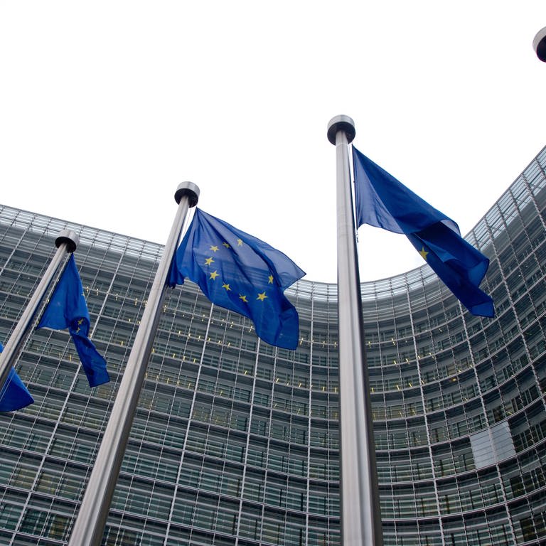 Flaggen vor der EU-Kommission (Foto: dpa Bildfunk, Picture Alliance)