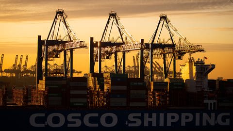 Ein Containerschiff der China Ocean Shipping Company (COSCO) wird am Containerterminal Tollerort der Hamburger Hafen und Logistik AG (HHLA) entladen. (Foto: dpa Bildfunk, Picture Alliance)