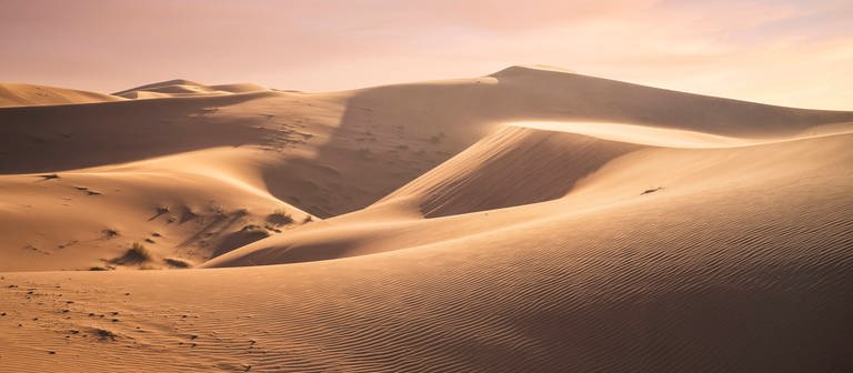 Sunrise at Sahara Desert. (Foto: IMAGO, Cavan Images)