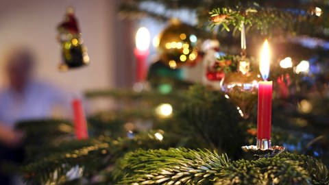 Kerzen an einem Weihnachtsbaum: Alle Jahre wieder die Frage: Wann und wo sollte man den Weihnachtsbaum kaufen? Wie hält man ihn bis Heiligabend frisch? Und welcher ist auch aus ökologischer Sicht der beste Baum? (Foto: dpa Bildfunk, picture alliance/Karl-Josef Hildenbrand/dpa)