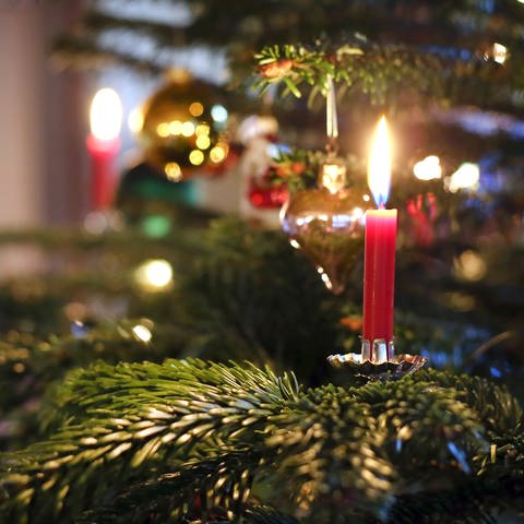 Kerzen an einem Weihnachtsbaum: Alle Jahre wieder die Frage: Wann und wo sollte man den Weihnachtsbaum kaufen? Wie hält man ihn bis Heiligabend frisch? Und welcher ist auch aus ökologischer Sicht der beste Baum? (Foto: dpa Bildfunk, picture alliance/Karl-Josef Hildenbrand/dpa)