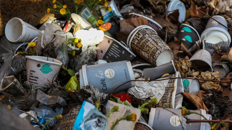 Das neue Verpackungsgesetz soll auch so ein Bild vermeiden helfen: Ganz viele Einwegbecher in einm Müllhaufen auf der Straße vermischt mit Herbstlaub. (Foto: Unsplash/Jasmin Sessler)
