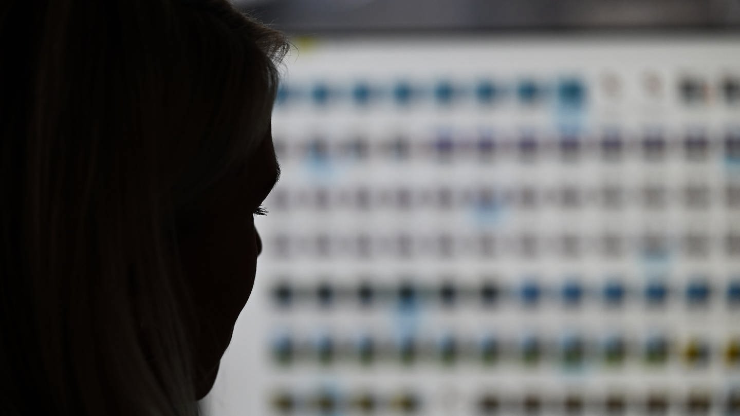 Eine Ermittlerin sitzt vor einem Monitor mit Fotodateien. (Foto: picture-alliance / Reportdienste, dpa Bildfunk, Arne Dedert)