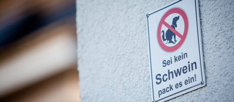 Ein Schild mit der Aufschrift "Sei kein Schwein - Pack es ein!" (Foto: picture-alliance / Reportdienste, dpa Bildfunk, Christoph Schmidt)