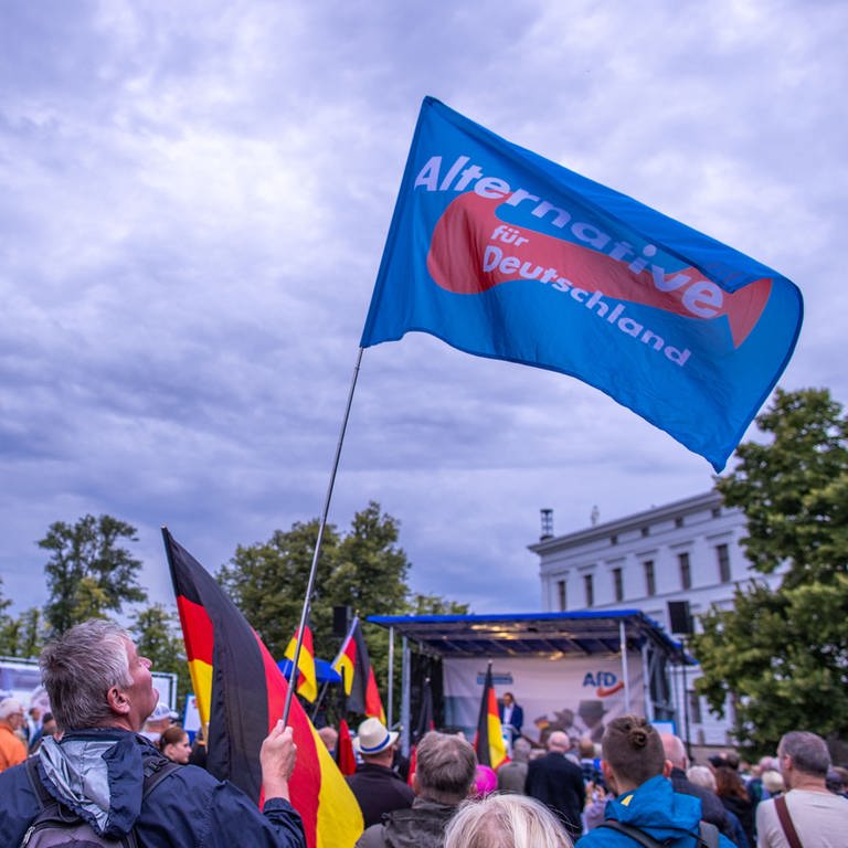 Umfragehoch: AfD in BW spürt Aufwind und will mit CDU regieren - SWR Aktuell