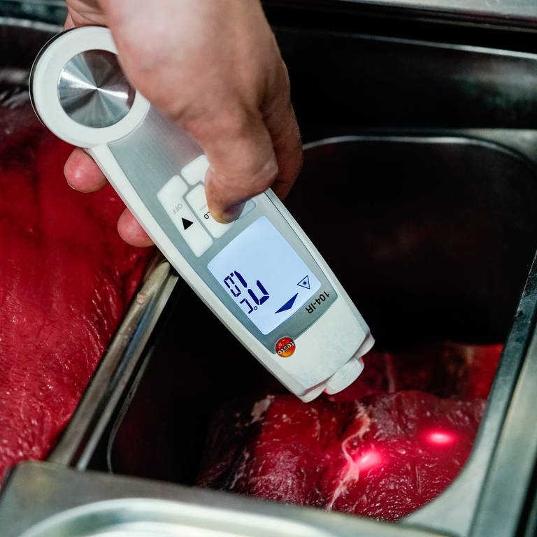 Ein Lebensmittelkontrolleur hält in der Küche eines Restaurants ein Thermometer an Fleischstücke.  (Foto: picture-alliance / Reportdienste, dpa Bildfunk, Uwe Anspach)