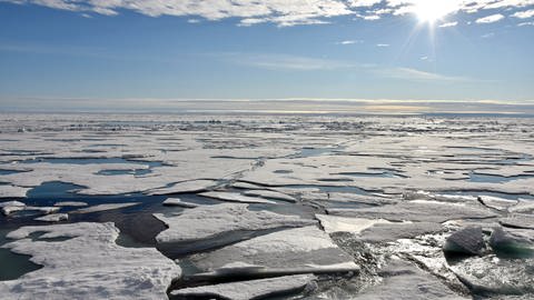 Nordpol: Auf dem Arktischen Ozean am Nordpol schwimmen mehrere Eisplatten (Foto: dpa Bildfunk, Picture Alliance)