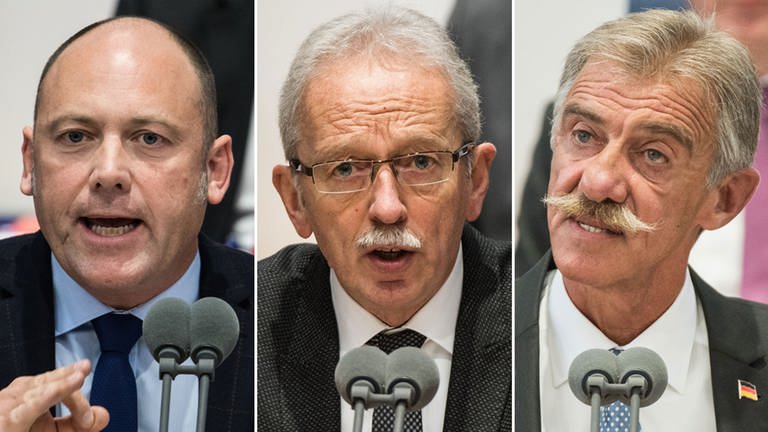 AfD - Paul, Frisch, Junge - Collage (Foto: picture-alliance / Reportdienste, Collage: dpa 123844388, 97926583, 93541465)