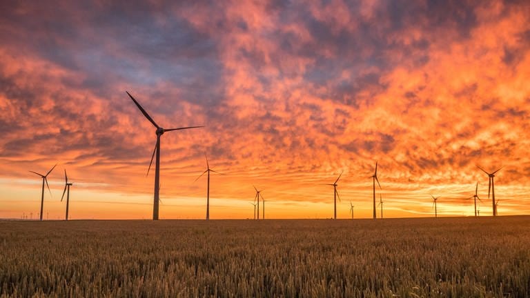 Viele Windräder - getaucht in orange-gelbes Sonenlicht: Die Kernhindernisse beim Ausbau der Windenergie sind auch 2022: Flächenverfügbarkeit, Dauer der Genehmigungsverfahren,  (Foto: unspllash)