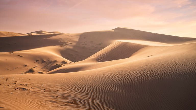 Sunrise at Sahara Desert. (Foto: IMAGO, Cavan Images)