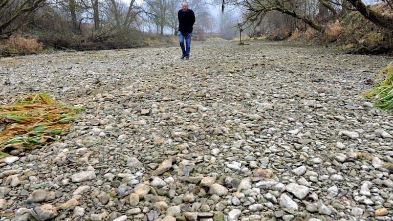Trockenen Fußes geht ein Mann durch das ausgetrocknete Flussbett der Donau bei Immendingen (Kreis Tuttlingen) (Foto: picture-alliance / Reportdienste, dpa Bildfunk, Rolf Haid)