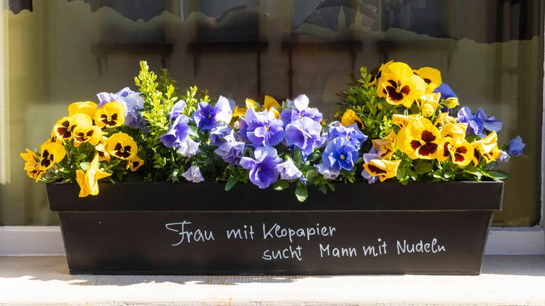 Frau mit Klopapier sucht Mann mit Nudeln. Witziger Spruch an einem Blumenkasten. (Foto: IMAGO, Arnulf Hettrich)