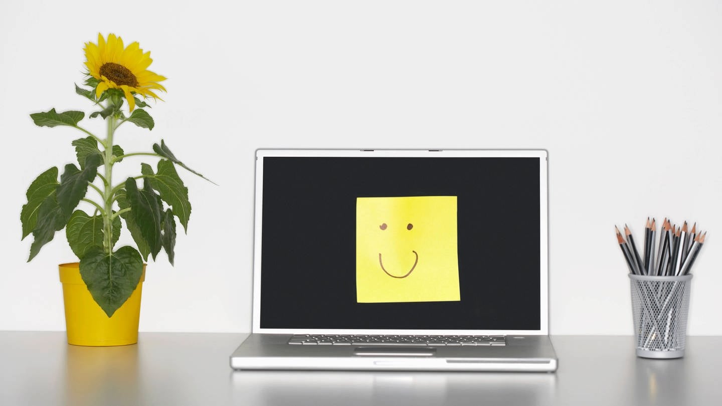 Smiley Face On Laptop Screen (Foto: IMAGO, YAY Images)