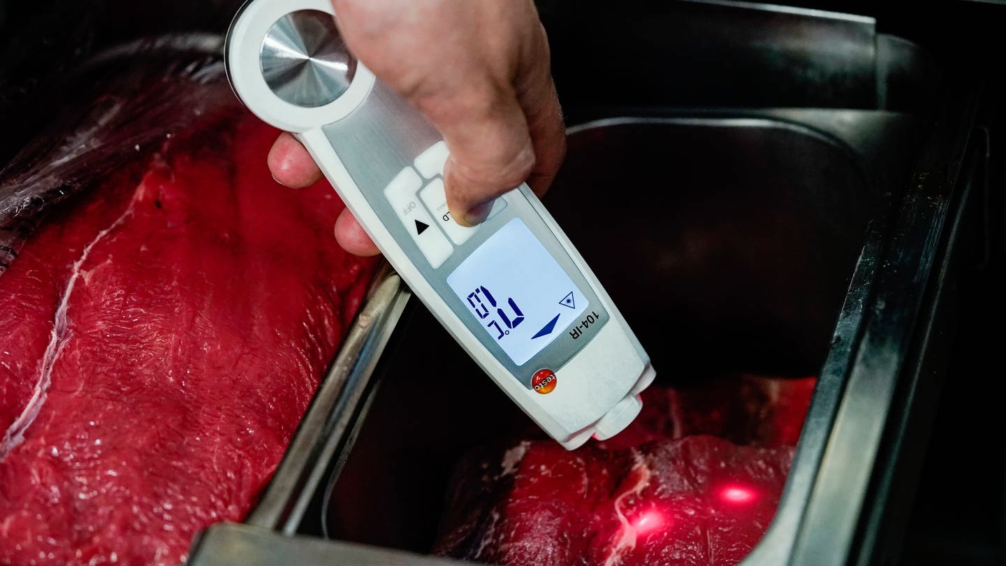 Ein Lebensmittelkontrolleur hält in der Küche eines Restaurants ein Thermometer an Fleischstücke. (Foto: picture-alliance / Reportdienste, dpa Bildfunk, Uwe Anspach)