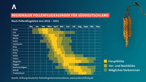 Der Deutsche Pollenfluginformationsdienst informiert regelmäßig darüber, welche Pollen wann in der Luft sind.