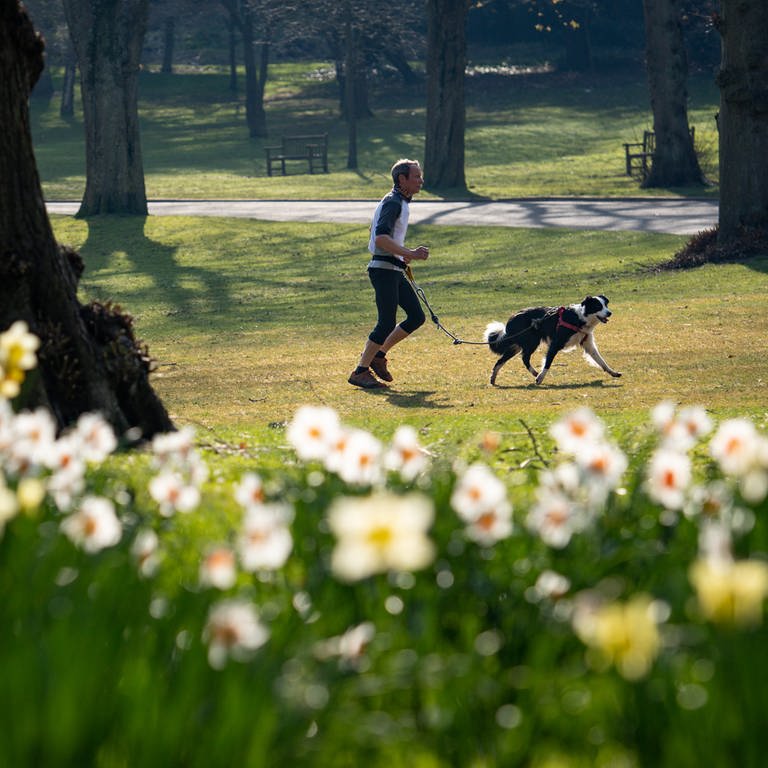 Ein Mann joggt mit Hund in einem frühlingshaften Park (Foto: dpa Bildfunk, picture alliance/dpa/PA Wire | Jacob King)
