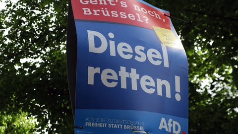Ein Wahlplakat der AfD zur Europawahl hängt an einer Laterne und unterstützt den Diesel