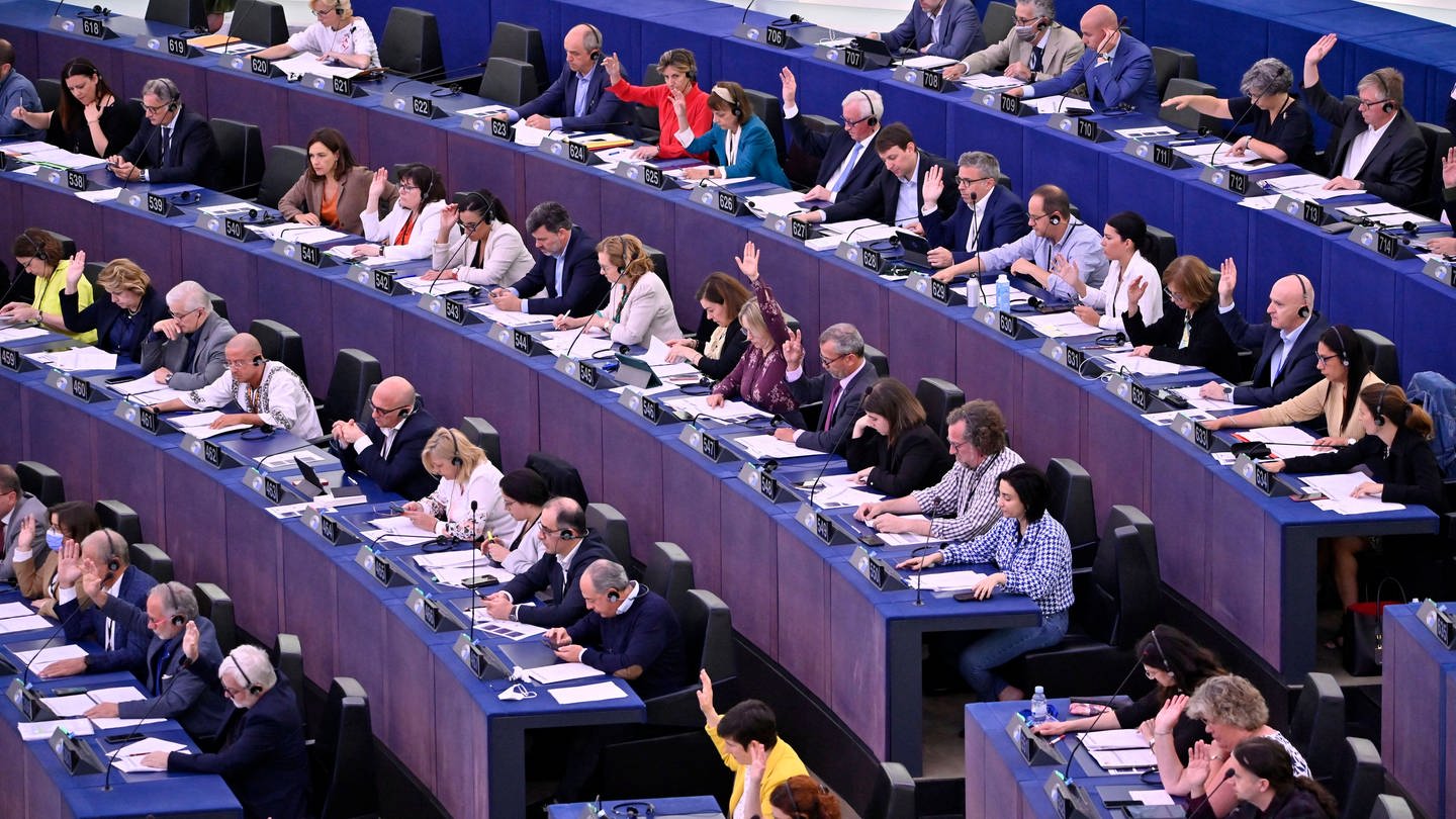 Abstimmung im Plenarsaal des Europäischen Parlaments in Straßburg (Foto: IMAGO, Future Image)