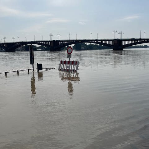 Hochwasser in Mainz am Rhein 