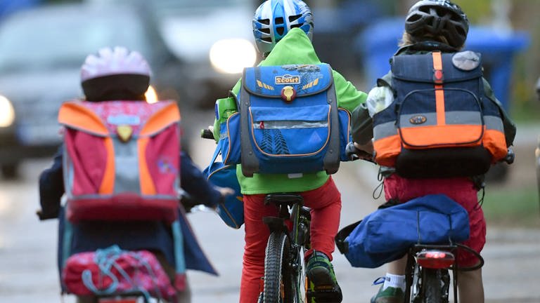 Kinder sind auf einer Straße mit dem Fahrrad unterwegs zur Schule. (Foto: dpa Bildfunk, picture alliance/dpa/dpa-Zentralbild | Ralf Hirschberger)