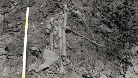 Bauarbeiter stießen auf drei Skelette (Foto: Pressestelle, LAD im RPS, S. Papadopoulos )
