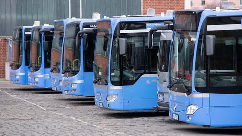 Busse stehen auf einem Busbetriebshof. (Foto: dpa Bildfunk, picture alliance/dpa | Sven Hoppe)