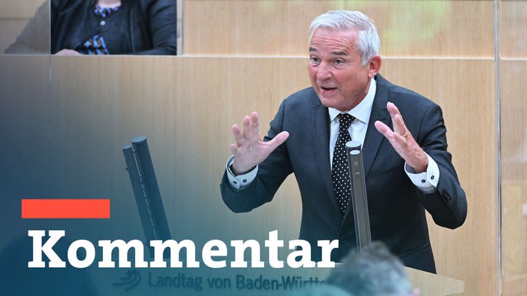 Thomas Strobl (CDU), Innenminister von Baden-Württemberg, spricht in einer Landtagssitzung im Plenarsaal. (Foto: dpa Bildfunk, picture alliance/dpa | Bernd Weißbrod)