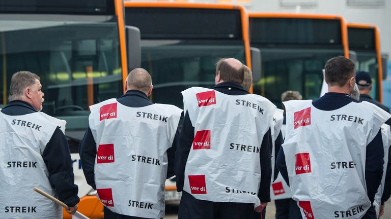 Mitarbeiter der Rhein-Neckar-Verkehrs GmbH gehen in Heidelberg während des Warnstreiks an parkenden Bussen entlang (Foto: dpa Bildfunk, Uwe Anspach)