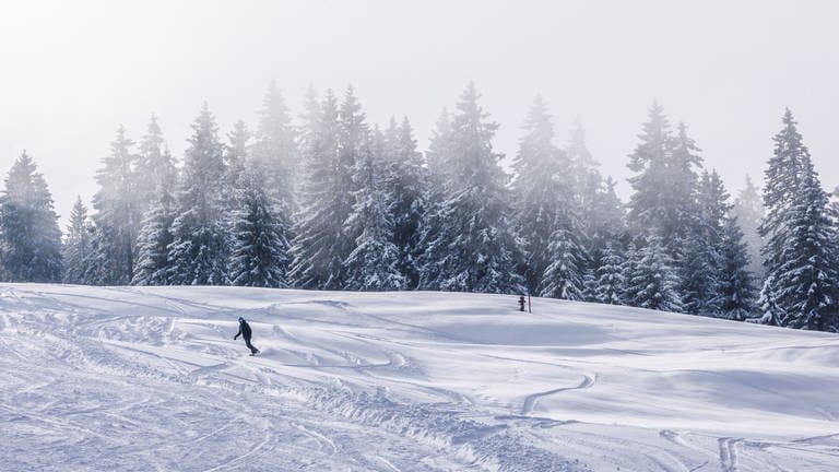 Ein Snowboarder fährt auf dem Feldberg eine Piste hinab. (Foto: dpa Bildfunk, picture alliance/dpa | Philipp von Ditfurth)