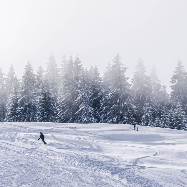 Ein Snowboarder fährt auf dem Feldberg eine Piste hinab. (Foto: dpa Bildfunk, picture alliance/dpa | Philipp von Ditfurth)